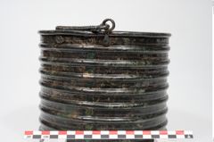 Foto von Bronzerippenziste (NHMW-PRAE-025670)